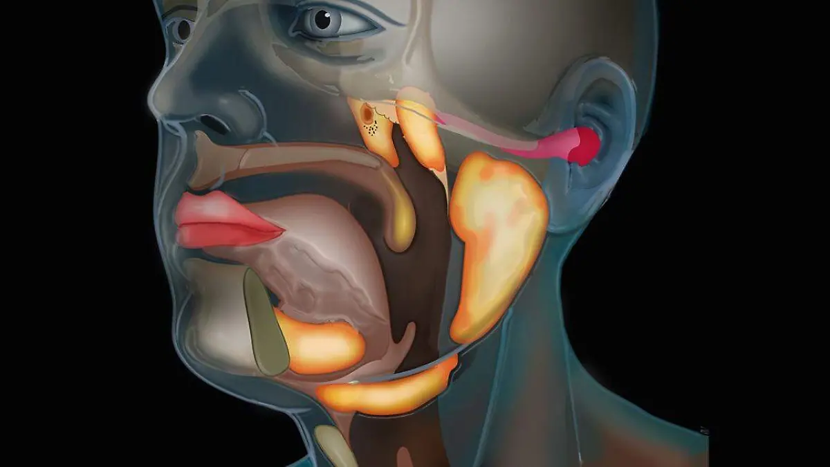 El síndrome de la boca ardiente tiene la capacidad de afectar la deglución, la alimentación, el habla y el sueño